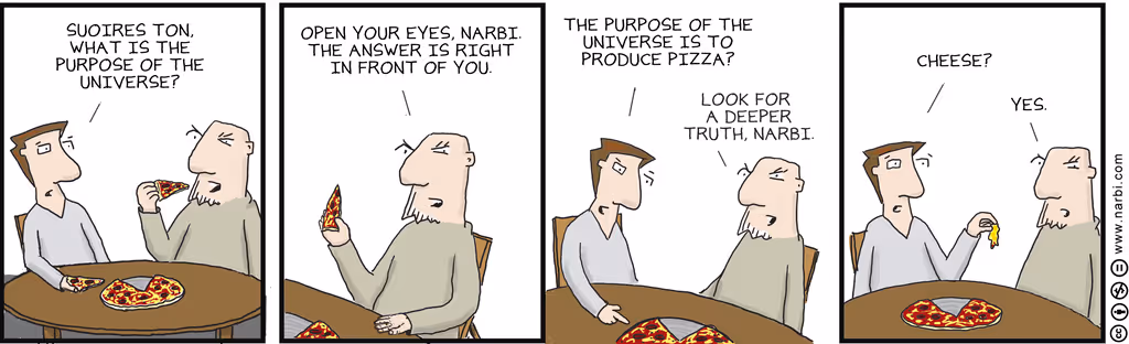 Purpose of Universe
